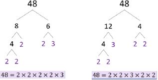 Representation of 48 by factor trees