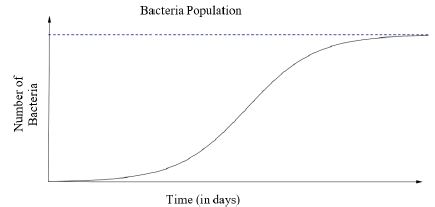 graph describes the number of bacteria in a culture over time.