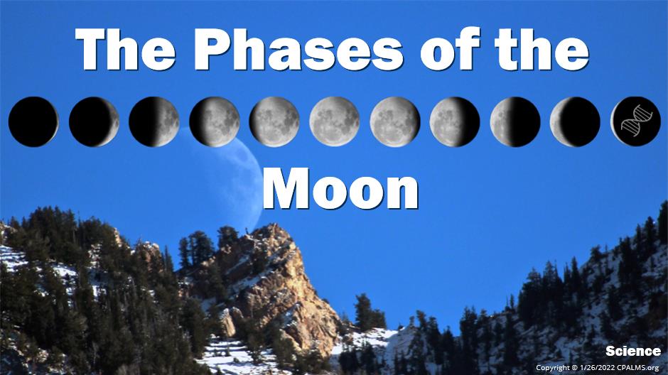 the-phases-of-the-moon