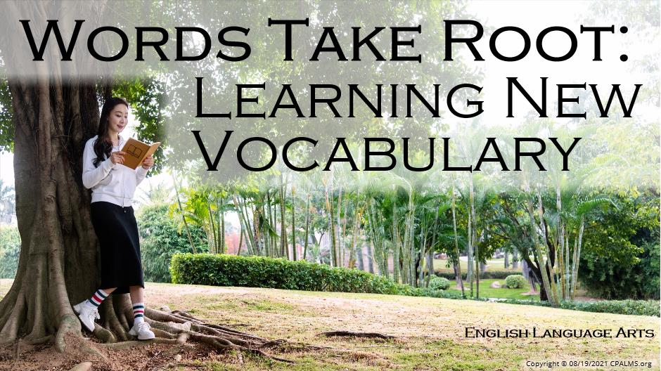 all-root-words-in-english-learn-vocabulary-with-root-words-acri