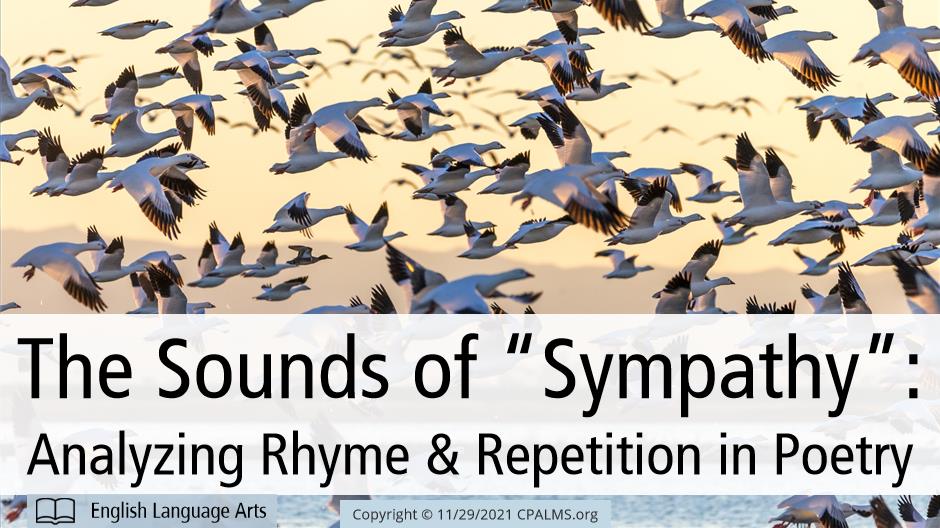 the-sounds-of-sympathy-analyzing-rhyme-and-repetition-in-poetry