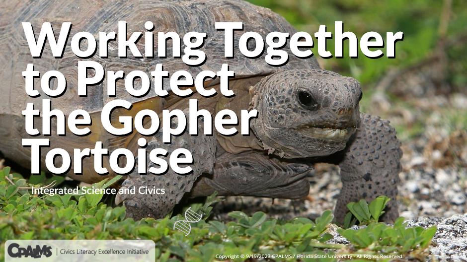 Working Together to Protect the Gopher Tortoise