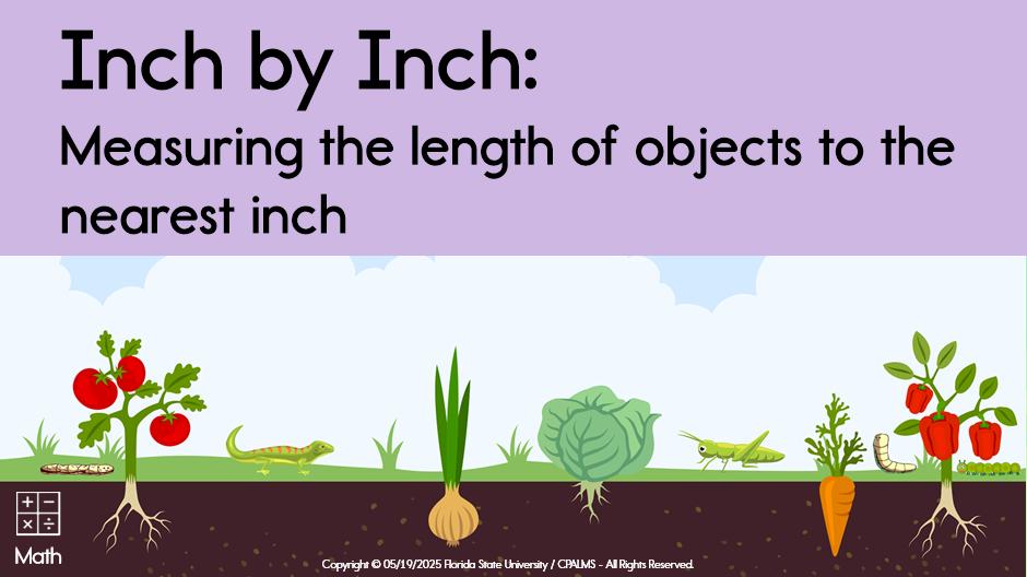 Inch by Inch: Measuring the length of objects to the nearest inch