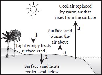 energy provided by the sun